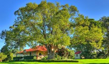Wollongong Botanic Garden