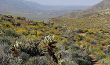 Indian Canyons