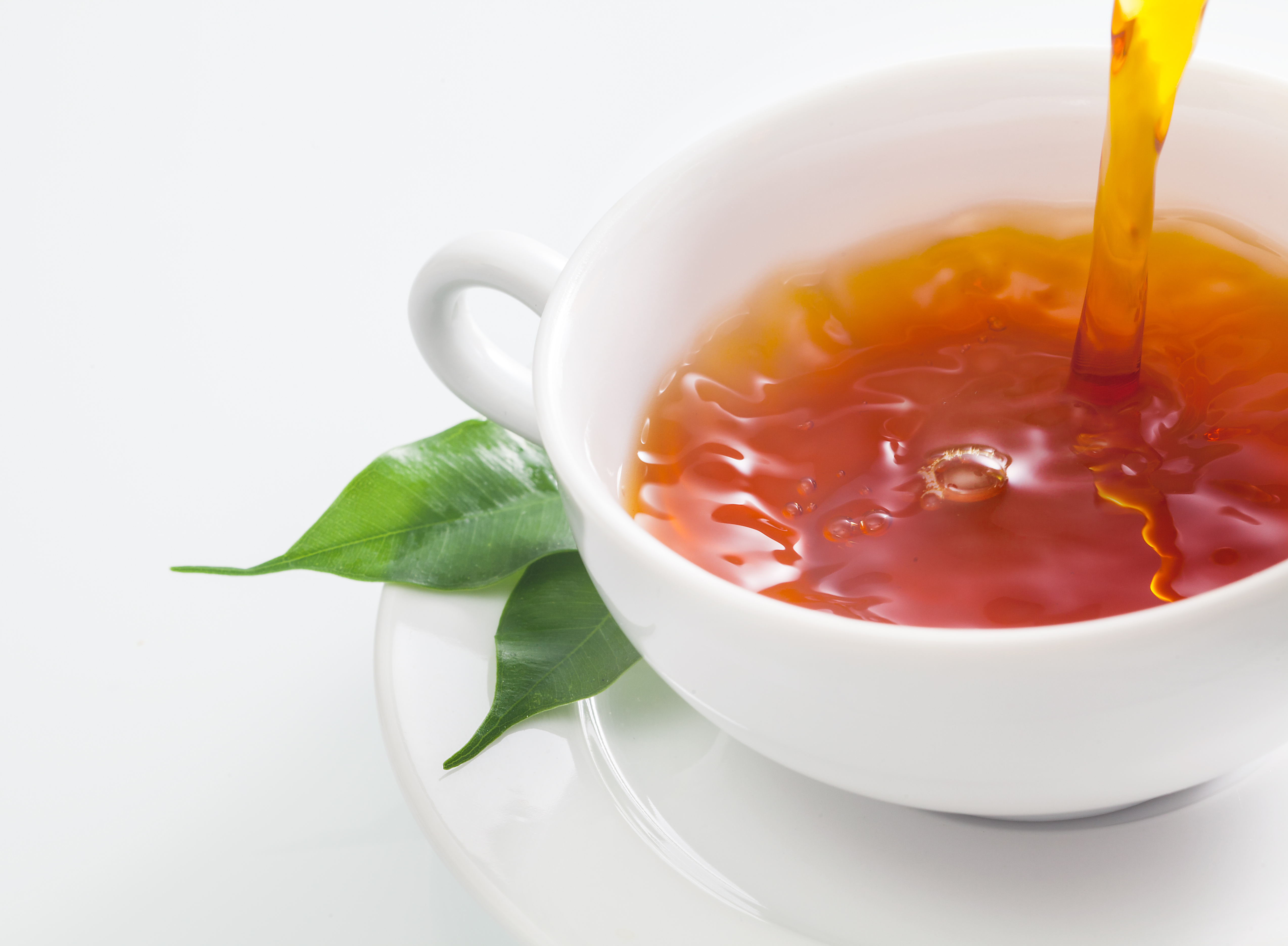 Close up view of someone pouring a cup of refreshing tea into a plain white cup with fresh green tea leaves resting on the saucer on a white background