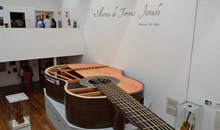 Museo de la Guitarra
