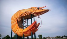 Big Prawn