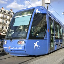 Public Transport