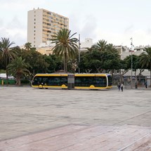 Public Transport