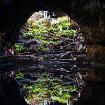 Jameos del Agua & Cueva de los Verdes