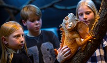 Kungsbyns Animal Park