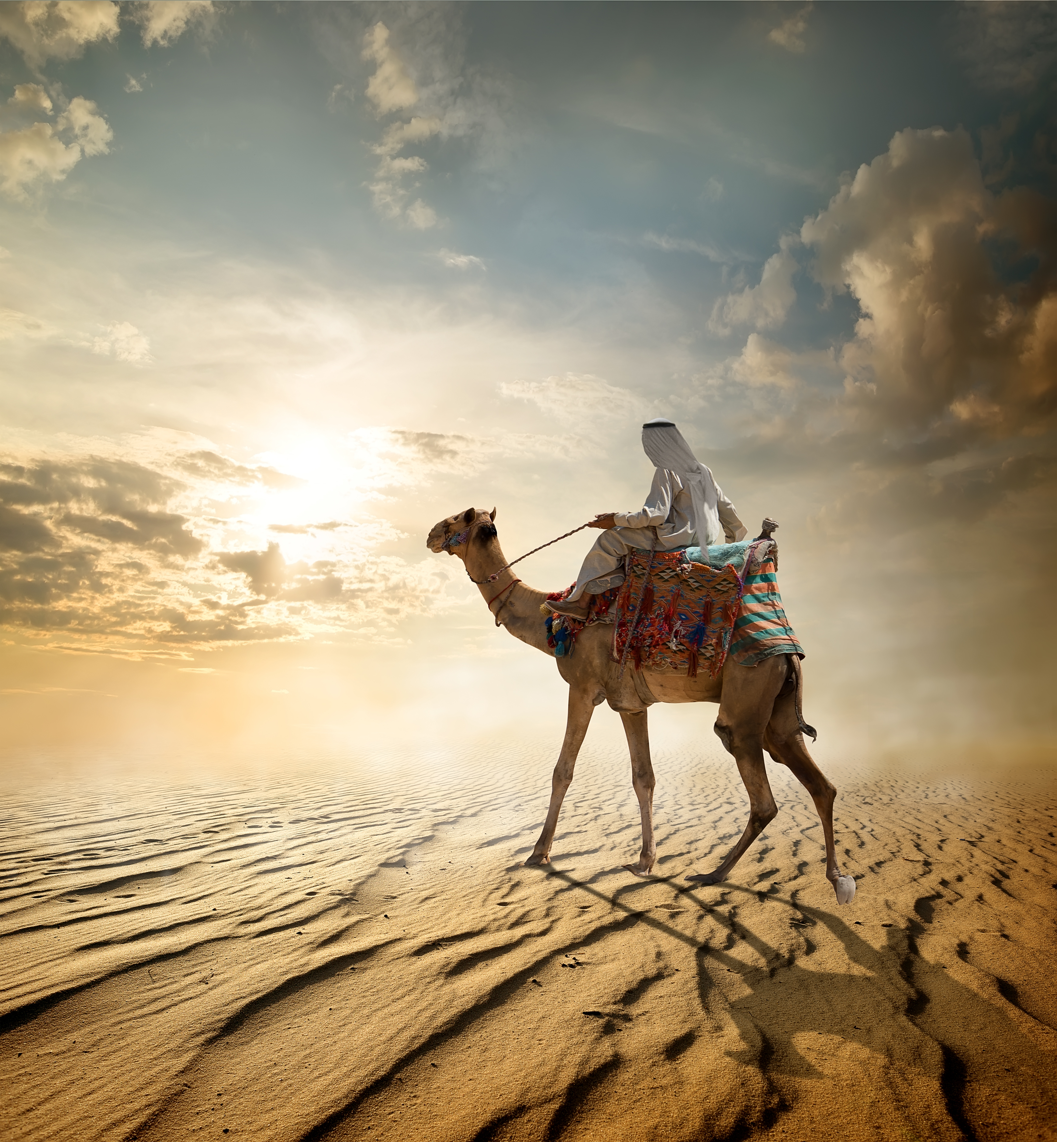 Bedouin rides on camel through sandy desert