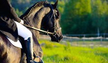 Porter Mountain Stables