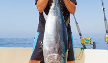 Island Girl Charters SportFishing Charters