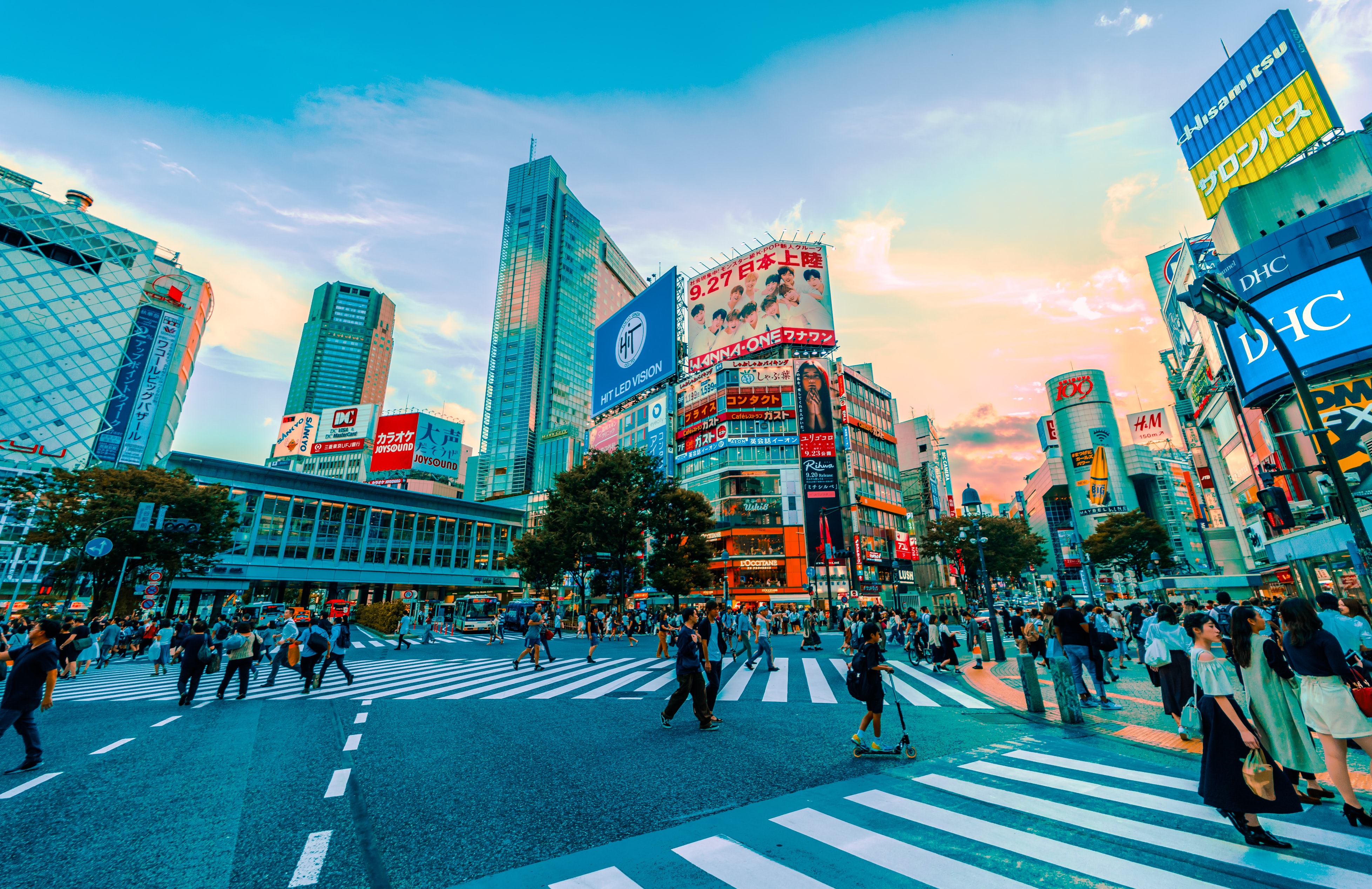 Shibuya Crossing - Tokyo, Japan