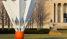 The Nelson-Atkins Museum of Art