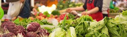Historic Lewis County Farmers Market