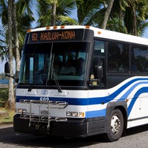 Public Transport