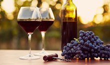 Page Springs Vineyard & Cellars