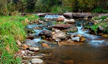Tonto Creek Fish Hatchery