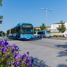 Public Transport