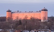 Uppsala Castle