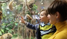 Calusa Nature Center & Planetarium