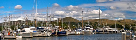 Spud Point Marina