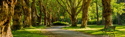 Meir Garden