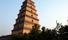 Xiaoyan Pagoda / 小雁塔