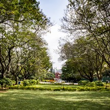 Cubbon Park