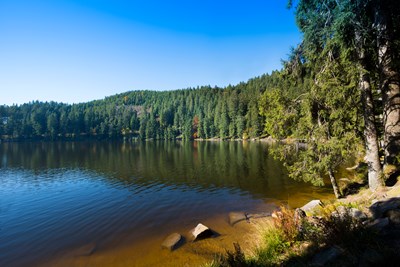 Mummelsee, Northern Black Forest - Horst Lieber/Shutterstock.com