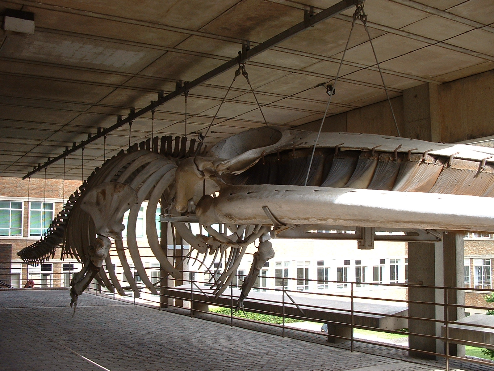 Entrance to The Zoology Museum, New Museums Site, Cambridge University.