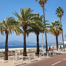 Palm Beach Cannes