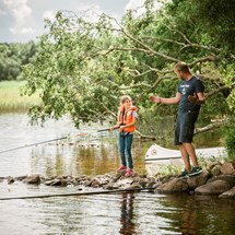Fishing in the rivers Rönneå & Vegeå and the lake Västersjön