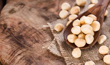 Mauna Loa Macadamia Nut Company (Keaau)