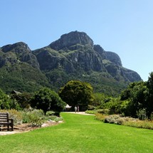 Kirstenbosch National Botanical Gardens