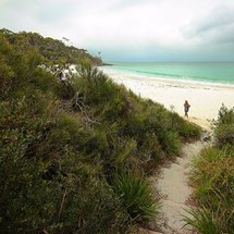 White Sands Walk and Scribbly Gum Track