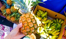 Hoku Foods Natural Market