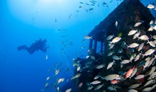 Rhone Marine Park