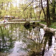Vrelo Bosne