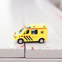 Health and Safety Advice
