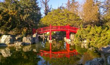 Japanese Friendship Garden