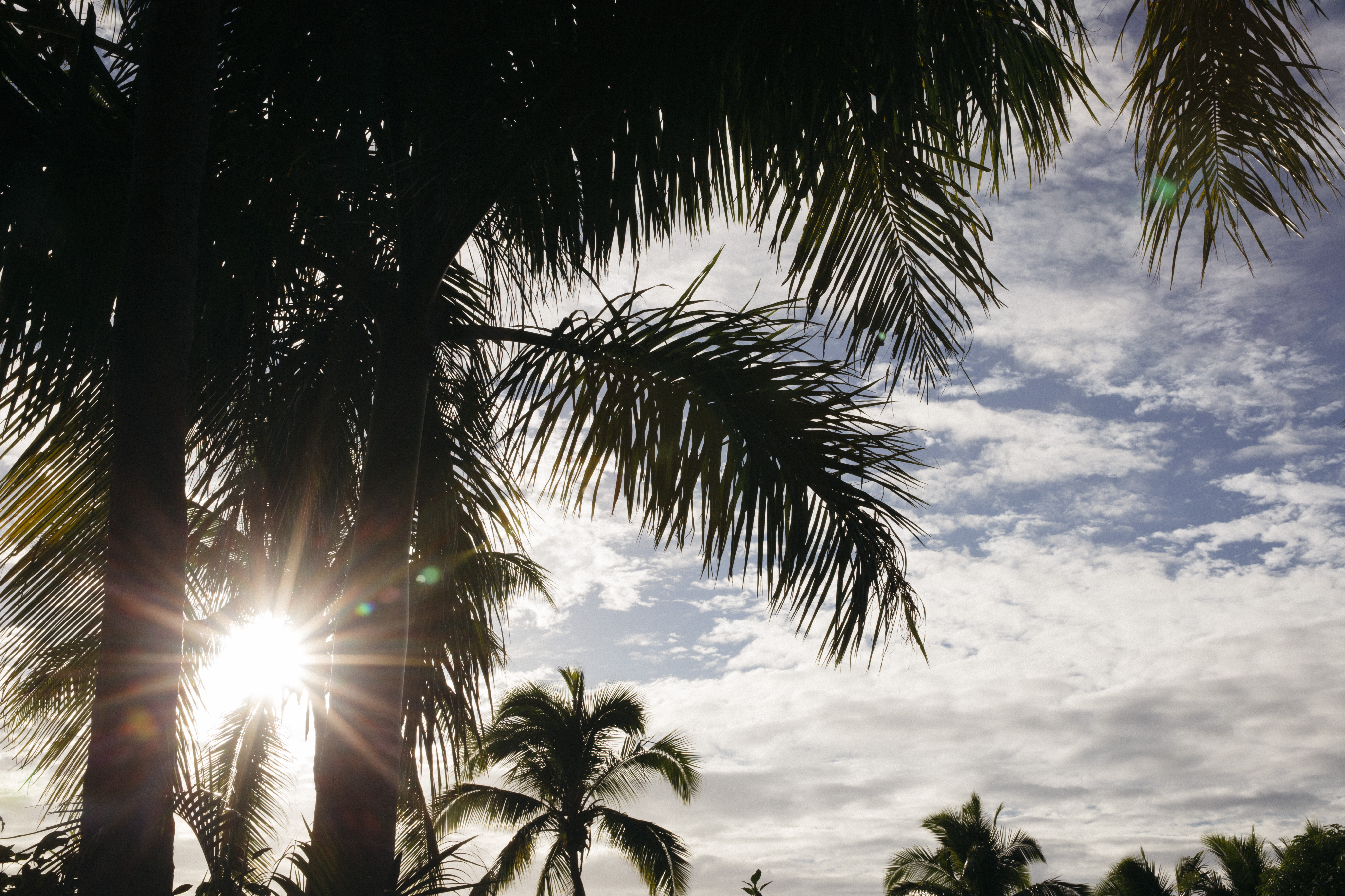 Road Trip through the South Pacific Island Viti Levu, Fiji