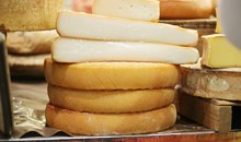 Paramythia Traditional Cheeses