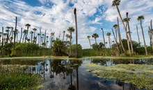 Orlando Wetlands Park