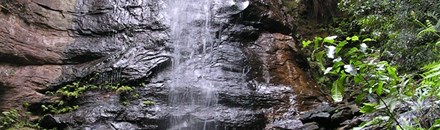 Bush Survival Course with High & Wild Adventures