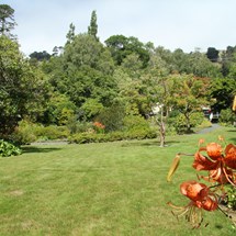 Glenfalloch Woodland Garden