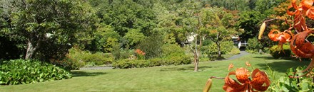 Glenfalloch Woodland Garden
