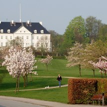 Marselisborg Palace & Park