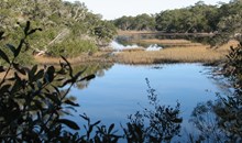 Theodore Roosevelt Natural Area