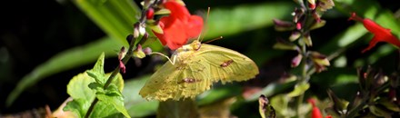 Nature Interpretive Center