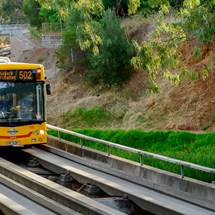 Public Transport