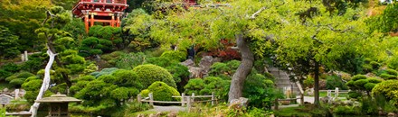 Golden Gate Park
