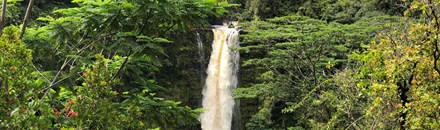 Akaka Falls State Park