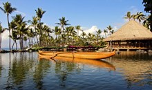 HumuHumu (Wailea)